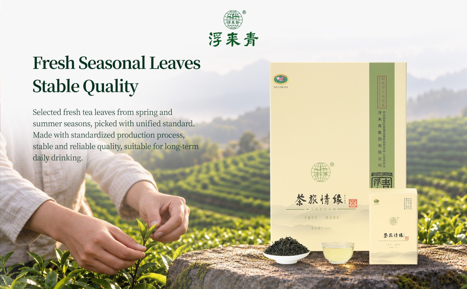Tea Journey Green Tea product detail 3