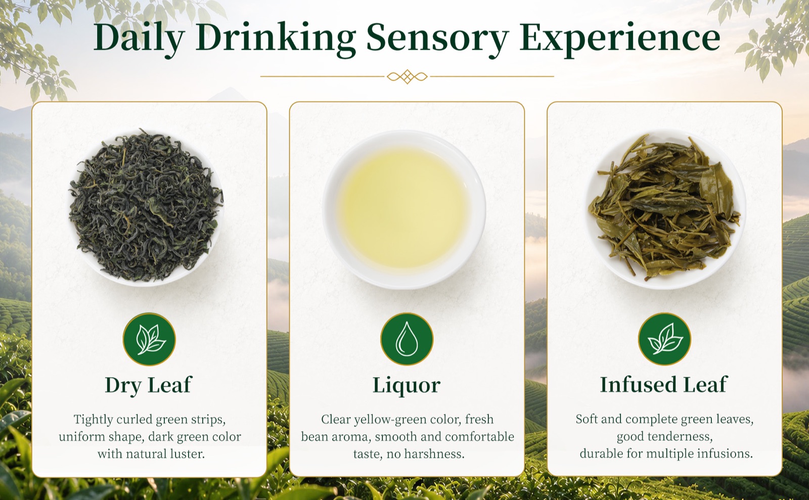 Tea Journey Green Tea product detail 5