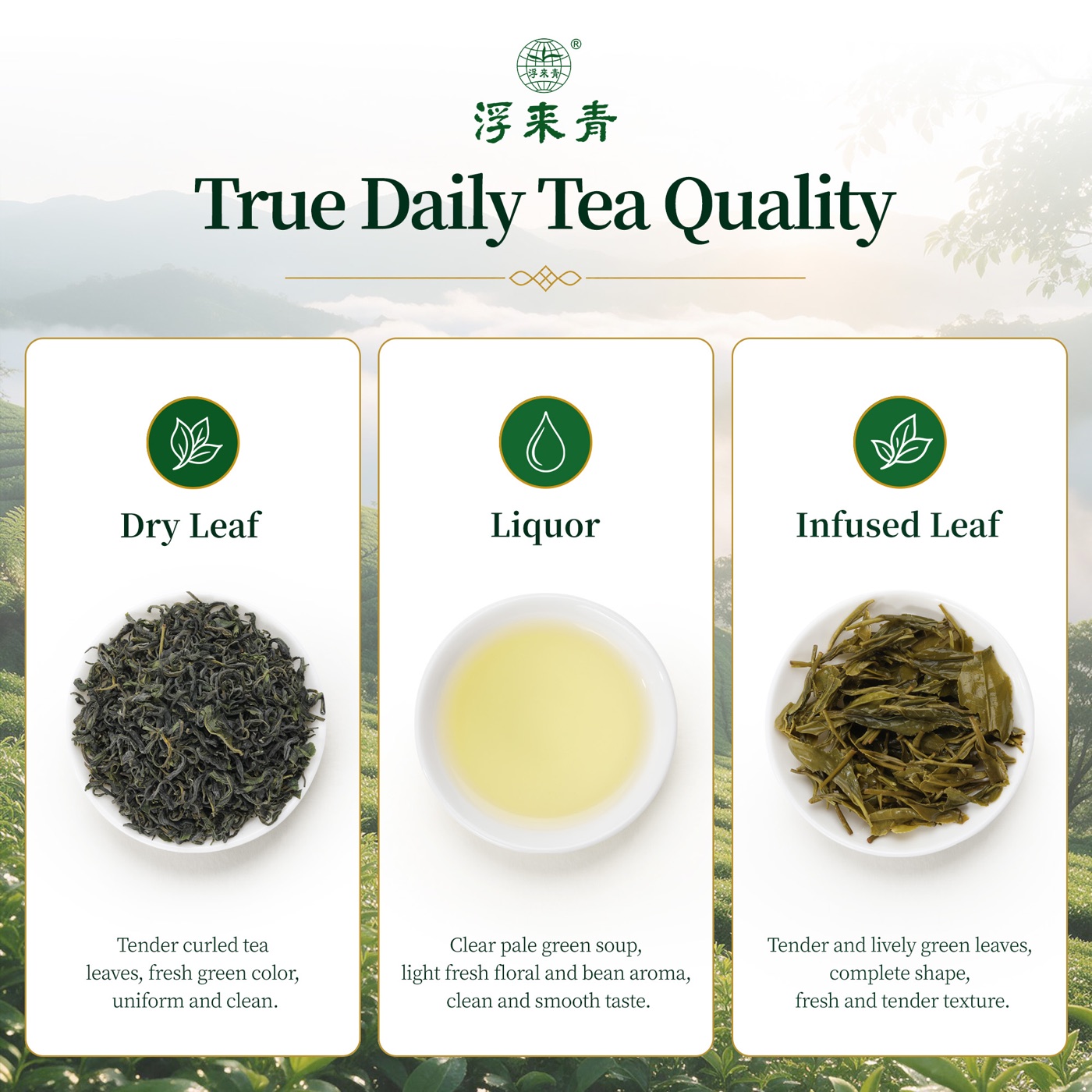 Tea Journey Green Tea - 3