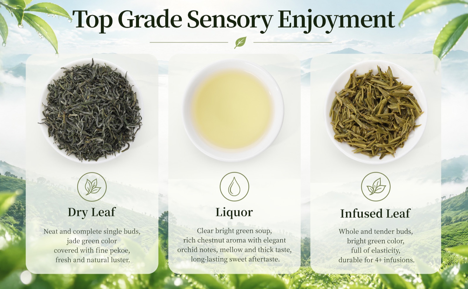 Treasure Grade Green Tea product detail 5
