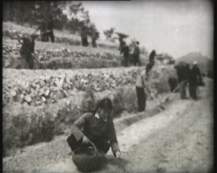 Early planting work